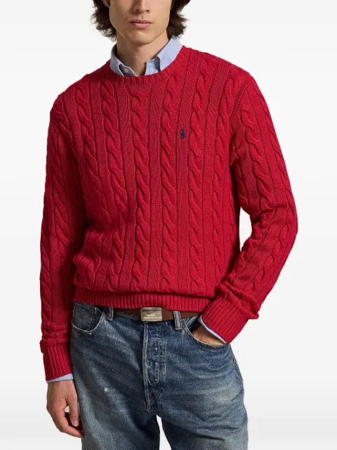 Polo Ralph Lauren Driver sweater